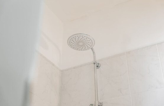 37874 291069 WYaNcmpaqiU6LYDTUMdt0U9yk4Z53DSjMSyD6yHc0tU 67ea99d202f1d.jpg