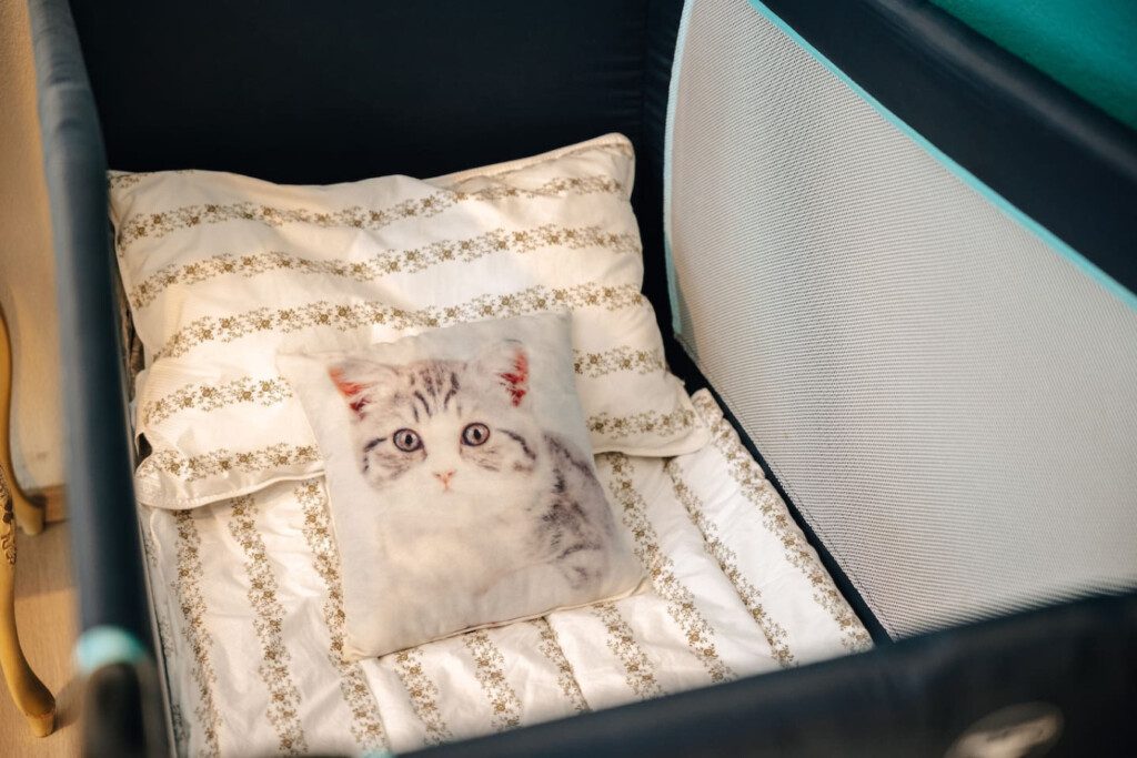 37874 339983 H4oHsY1S9Am5IX7NoACPn4mIrstQR F0WWNSekjFwsY 67eadd12dde14.jpg