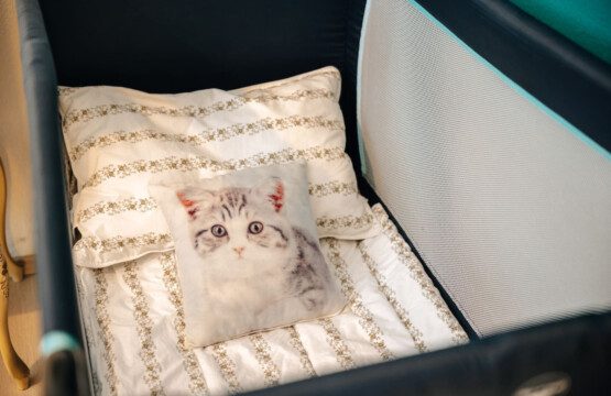 37874 339983 H4oHsY1S9Am5IX7NoACPn4mIrstQR F0WWNSekjFwsY 67eadd12dde14.jpg